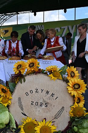 Dożynki 2025 w Sulęczynie-30092