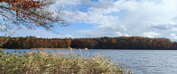 expresskaszubski.pl na Facebooku