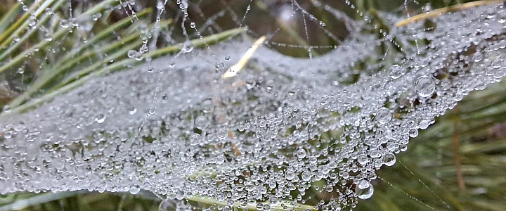 expresskaszubski.pl na Facebooku