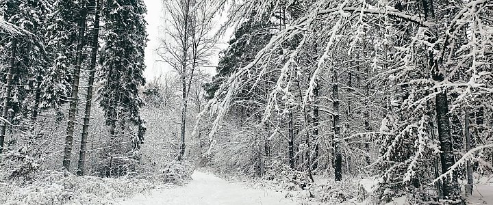 expresskaszubski.pl na Facebooku