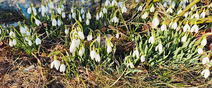 expresskaszubski.pl na Facebooku