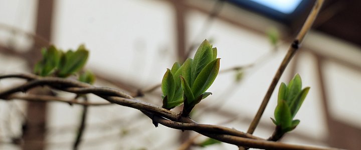 expresskaszubski.pl na Facebooku