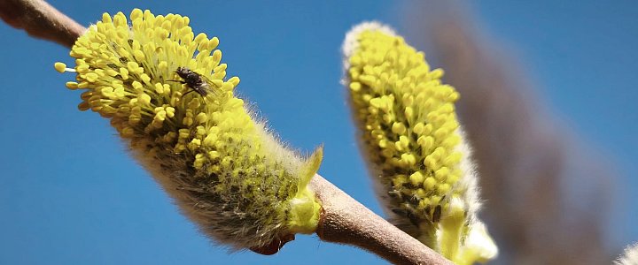 expresskaszubski.pl na Facebooku