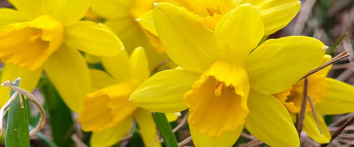 expresskaszubski.pl na Facebooku