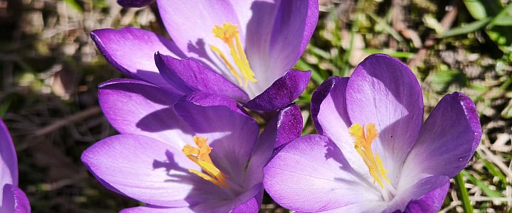 expresskaszubski.pl na Facebooku