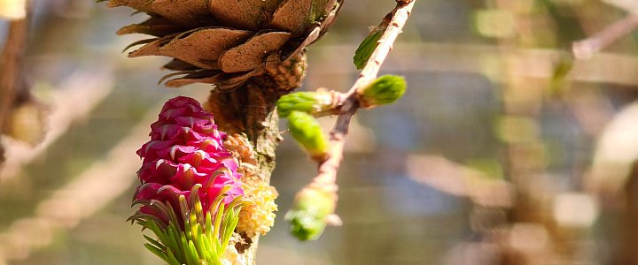 expresskaszubski.pl na Facebooku