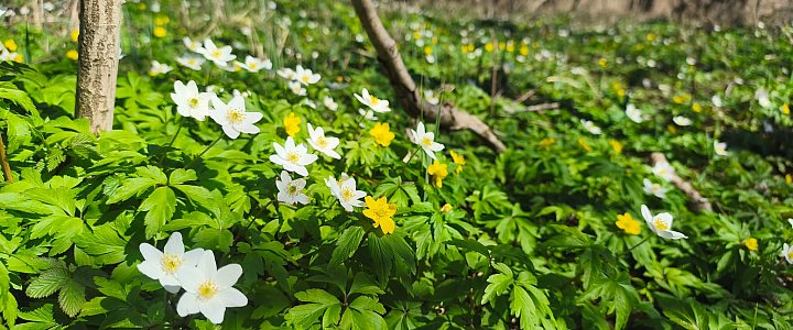 expresskaszubski.pl na Facebooku