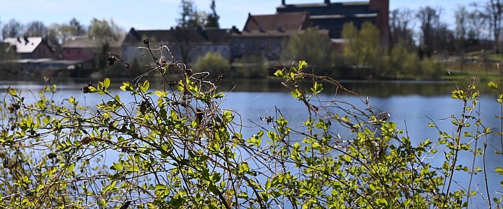 expresskaszubski.pl na Facebooku