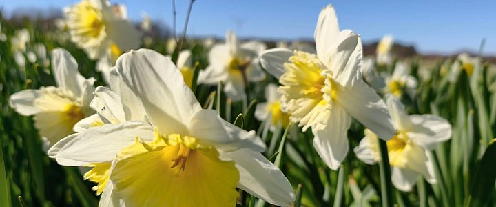 expresskaszubski.pl na Facebooku