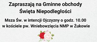 Obchody Narodowego Święta Niepodległości w Żukowie-2445