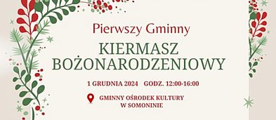 Pierwszy Gminny Kiermasz Bożonarodzeniowy-2481