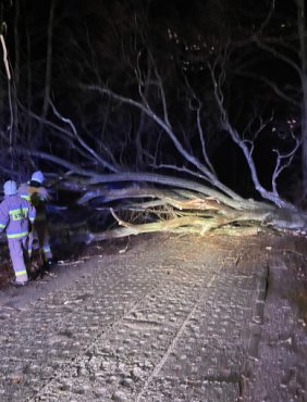 Połamane drzewa i konary. W Pałubicach i Somoninie uszkodzone samochody-38462