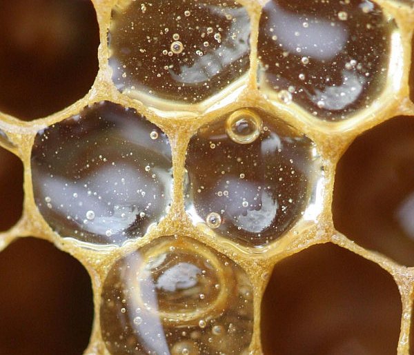 Pszczelarze zachęcają do kupowania miodu z rodzimych pasiek-55036