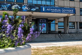 Akwarium Gdyńskie zaprasza na wakacyjne spotkania z nauką-56674