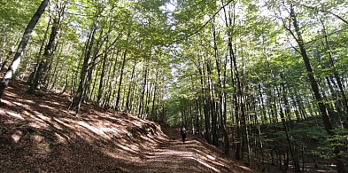 List. Park Narodowy może być stratą dla lokalnych społeczności-60235