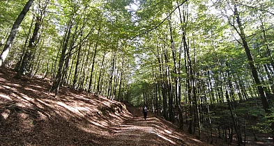 List. Park Narodowy może być stratą dla lokalnych społeczności-60235