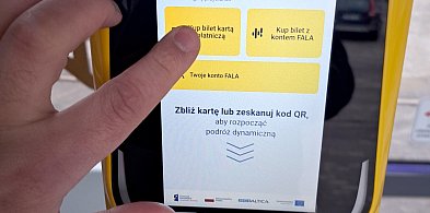 Region. Bilety na pociągi Polregio i SKM dostępne w systemie FALA-61352