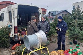 Akcja "Choinka". Policjanci kontrolują punkty sprzedaży świątecznych drzewek-62192