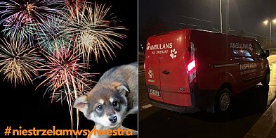 Sylwestrowy patrol Animalsów będzie jeździł na Pomorzu-62542