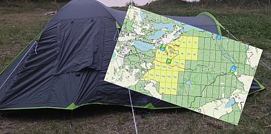 Majówka wśród drzew? Gdzie w pow. kartuskim legalnie zanocujesz w lesie?-66707