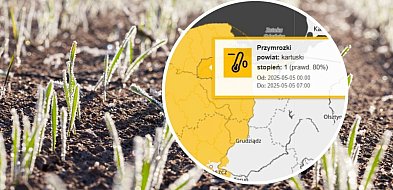 Na Kaszubach znów możliwe przymrozki. IMGW ostrzega-66814
