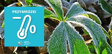 Najbliższa noc na Kaszubach będzie bardzo chłodna. Temperatury jak zimą!-66845