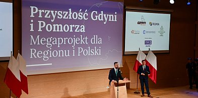 Na Pomorzu powstanie zielony okręg przemysłowy-66889