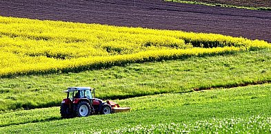 Dopłaty dla rolników 2025 – Skorzystaj z pomocy doradców PZDR -66970