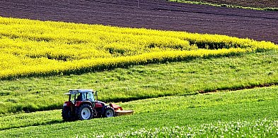 Dopłaty rolne 2025 – Skorzystaj z pomocy doradców PZDR-66970
