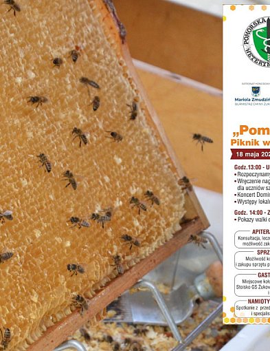 Żukowo. W niedzielę Pomorskie Święto Pszczoły - piknik dla całych rodzin-67117