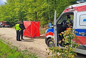Borowy Las. Tragiczny wypadek na leśnej drodze. Nie żyje 15-latek-67292