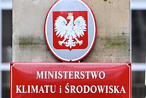 Wycofują projekt dot. wycinki drzew. "Niebezpieczne skutki dla środowiska"-67296