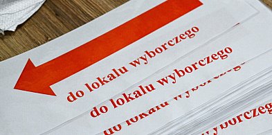 Rozpoczęło się głosowanie w wyborach prezydenckich-67278