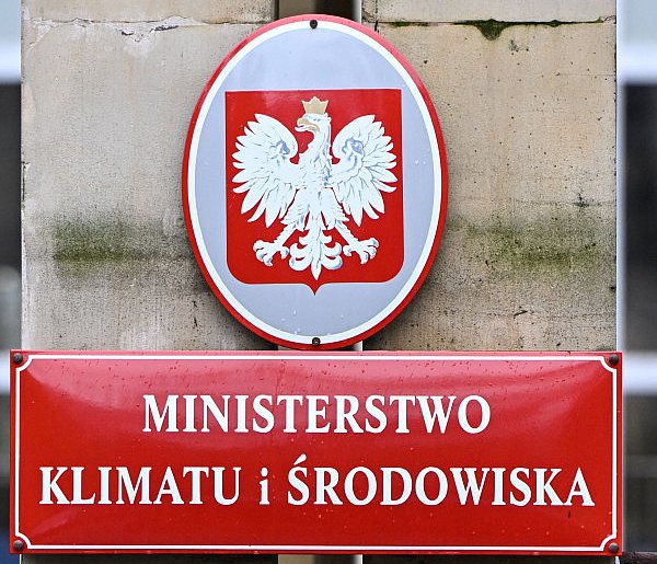 Wycofują projekt dot. wycinki drzew. "Niebezpieczne skutki dla środowiska"-67296