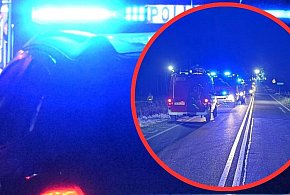Stężyca. 15-latek za kierownicą audi! Doprowadził do poważnego wypadku-67490