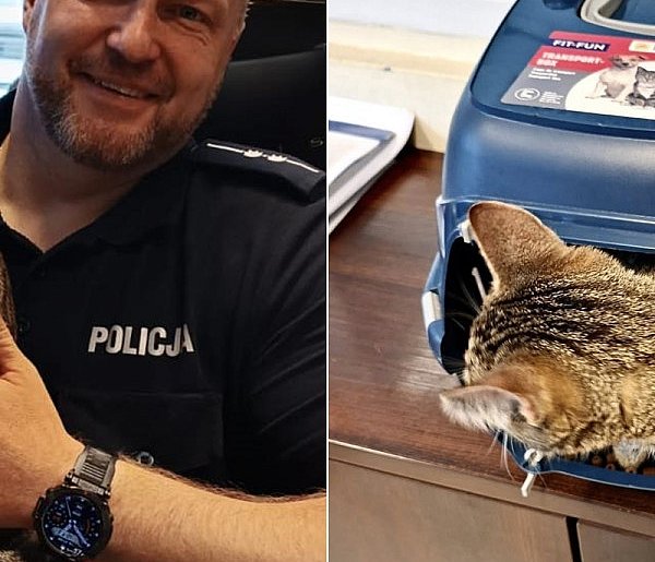 Kartuzy. Ktoś porzucił kota przy śmietniku! Zadziałali policjanci-67540