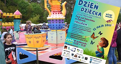 Żukowo. Festyn z okazji Dnia Dziecka pod hasłem "Leśna przygoda"-67603