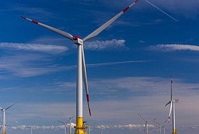 Trzy polskie firmy zbadają dno morskie pod budowę farmy wiatrowej-67840