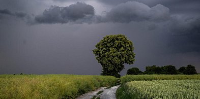 Ostrzeżenia II stopnia przed burzami z gradem i porywami wiatru-68125