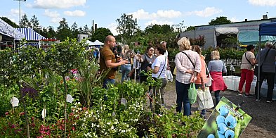 Region. Pierwszy dzień Pomorskich Agro Targów w Lubaniu-68135