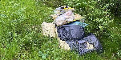 Śmieci wciąż lądują w lasach. W Kiełpinie ktoś wyrzucił odpady budowlane-68533