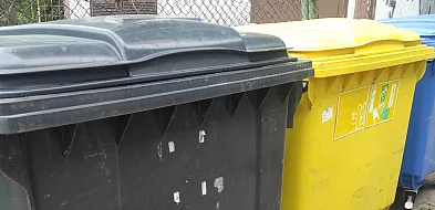 Kartuzy. Nieprawidłowości przy zbiórce bioodpadów. Gmina zapowiada kontrole-68585