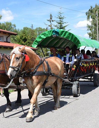 Parada zaprzęgów konnych oraz mistrzostwa w wyścigach bryczkami-68924