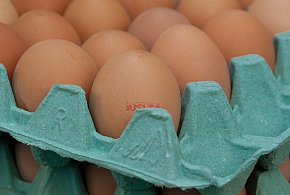 Salmonella na jajach znanej marki. Nie jedz, jeśli masz je w lodówce!-68932