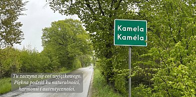 Kamela najpiękniejszą wsią w gminie Somonino-68941