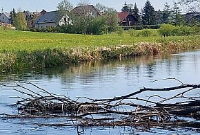 Goręczyno. W Raduni znaleziono ciało mężczyzny. Trwają działania służb-69083