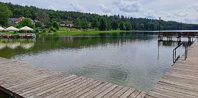 Sinice w jednym jeziorze na Kaszubach-69140