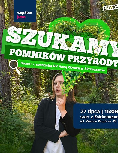 Jak chronić potężne, wielowiekowe drzewa przed cichą wycinką?-69551
