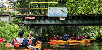 Co mieszkańcy naszego regionu sądzą o ekoturystyce? Pomóż nam to sprawdzić!-69904