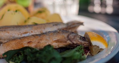 Chmielno. Jarmark Rybacki: pokazy kulinarne i degustacja rybnych dań-70379